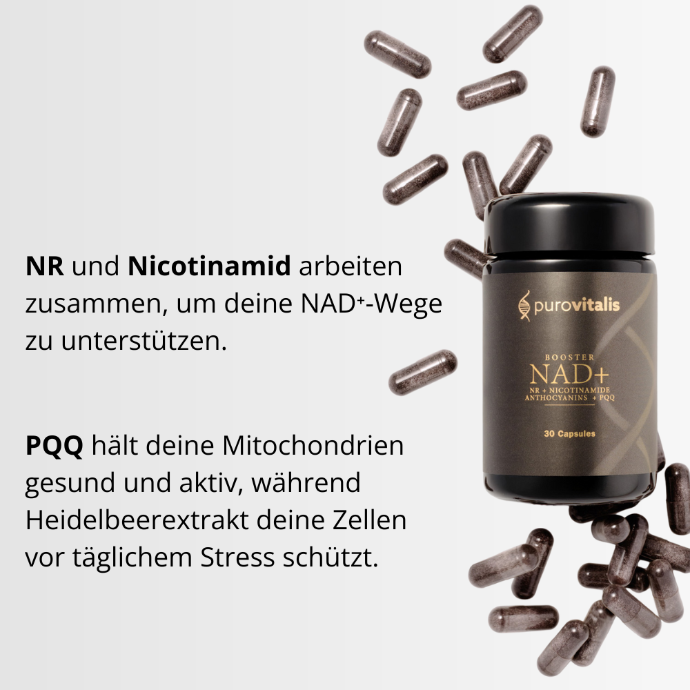 NAD+ Booster - PuroVitalis Kapseln 30 Stück