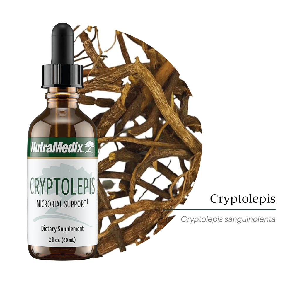 Cryptolepis NutraMedix Tropfen 60 ml