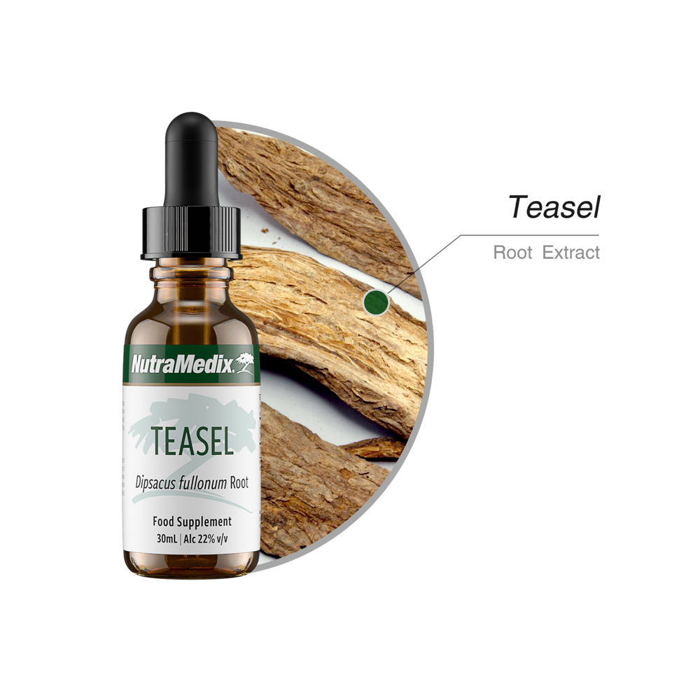 Teasel Nutramedix Tropfen 30 ml