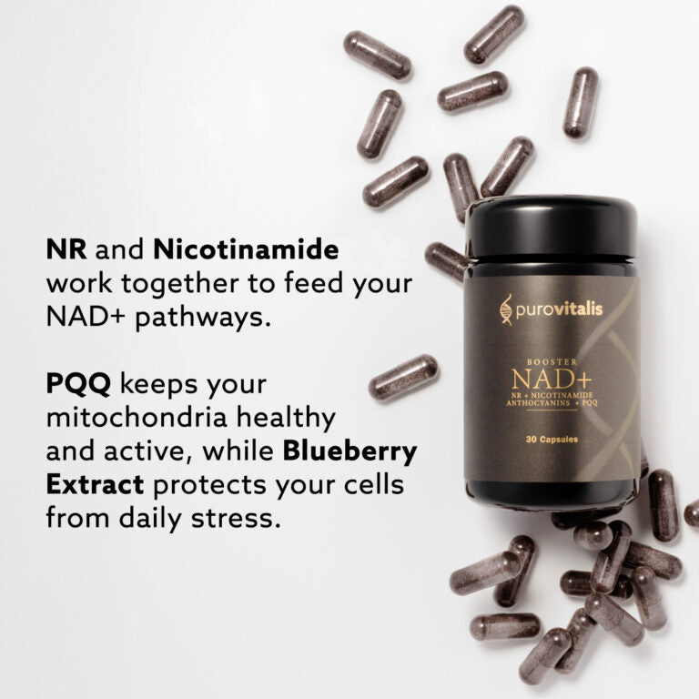 NAD+ Booster - PuroVitalis Kapseln 30 Stück