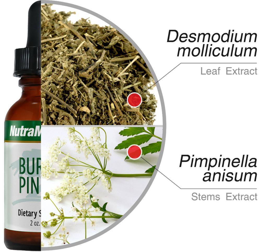 Burbur Pinella Nutramedix drops 60 ml