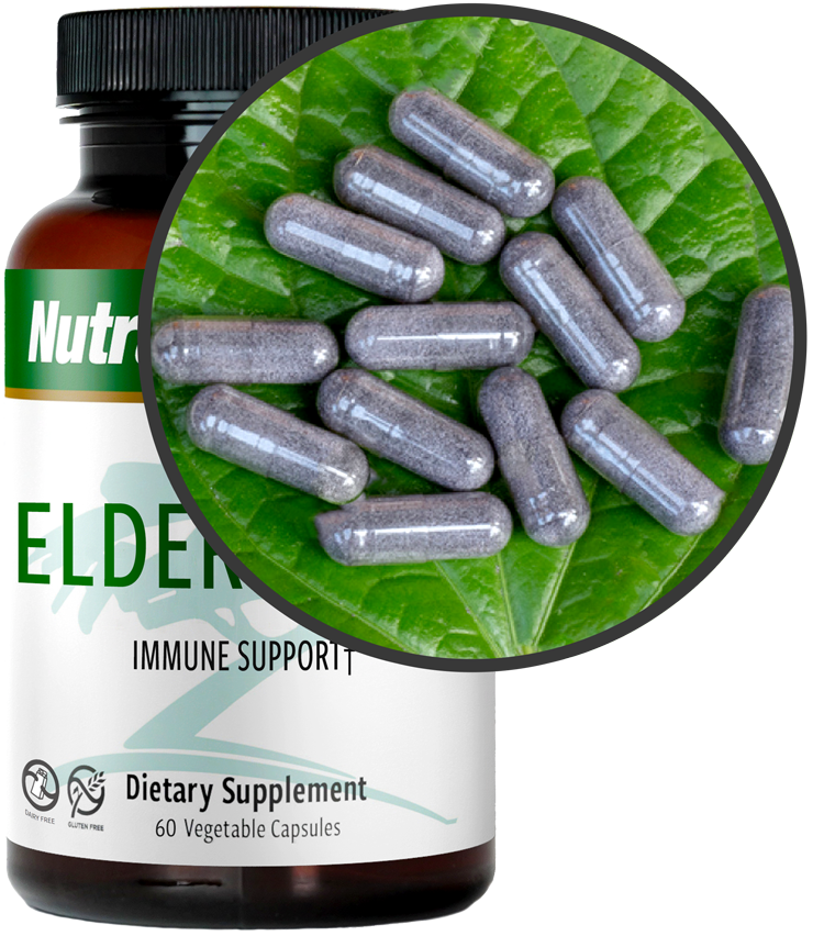 Elderberry Nutramedix Kapseln 60 Stück