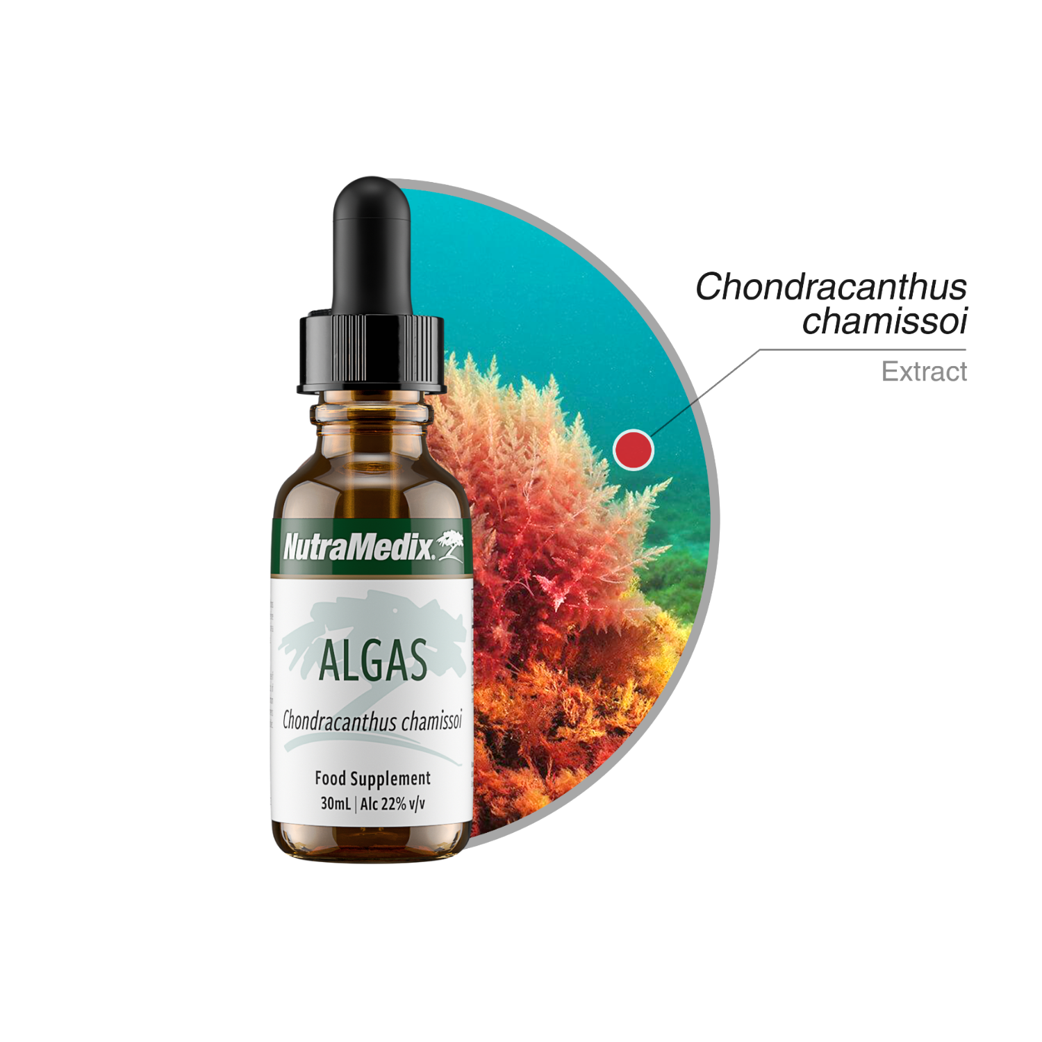 Algas Nutramedix drops 30 ml