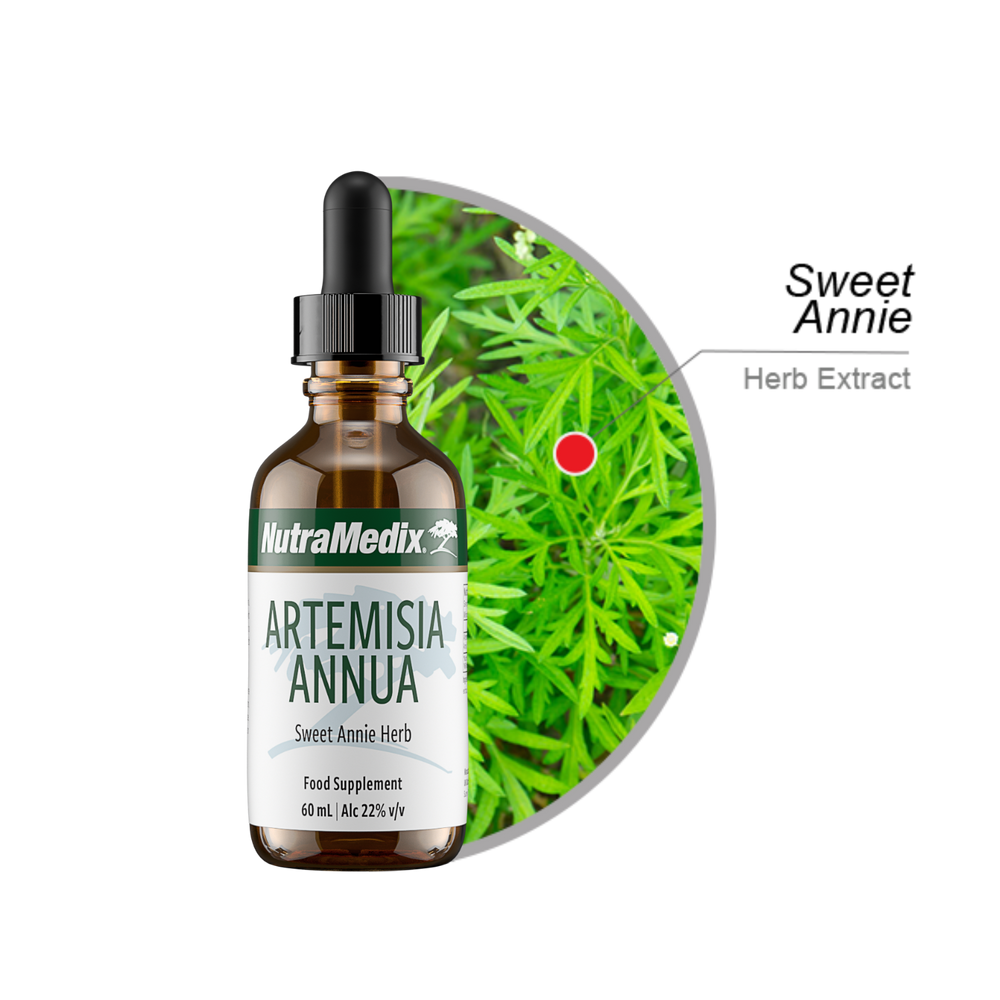 Artemisia Annua NutraMedix drops 60 ml