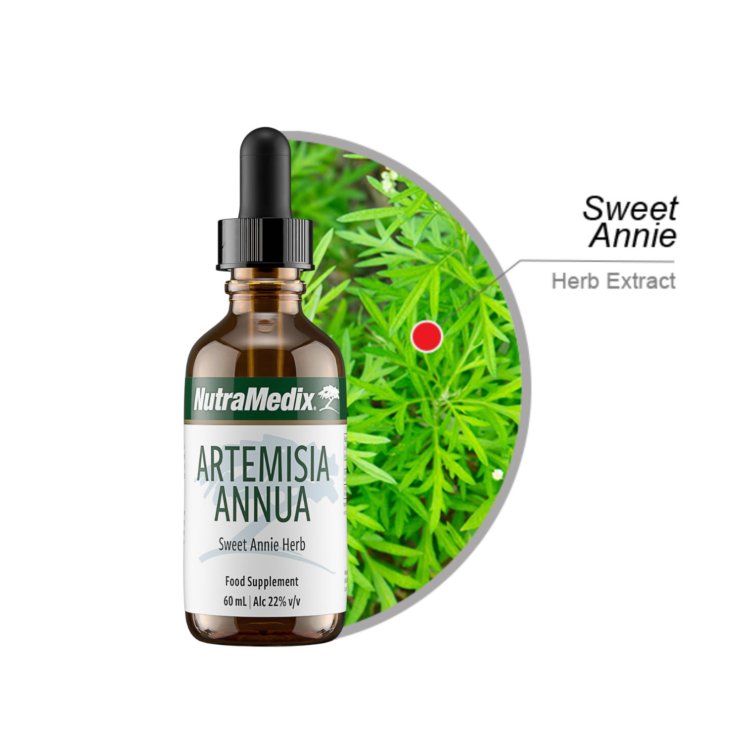 Artemisia Annua NutraMedix drops 60 ml