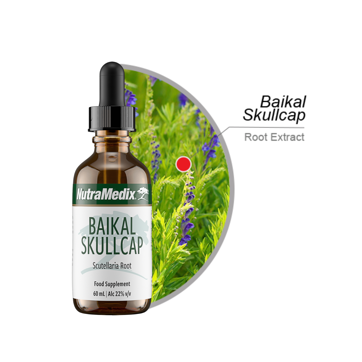 Baikal Skullcap NutraMedix drops 60 ml