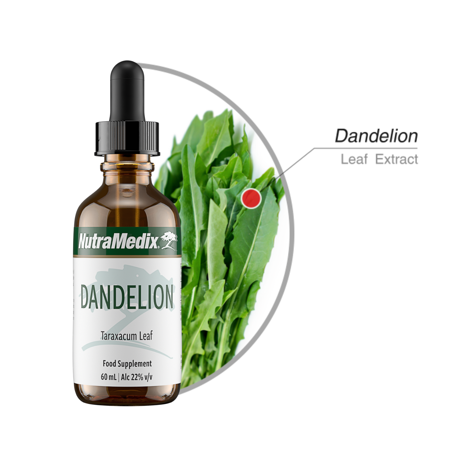 Dandelion Nutramedix Tropfen 60 ml