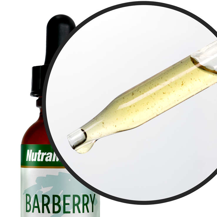 Barberry Nutramedix drops 30 ml
