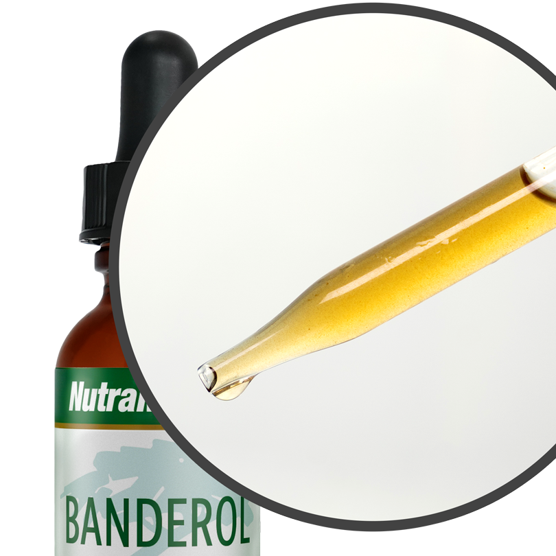 Samento + Banderol NutraMedix Kombipack (nur bei Online-Bestellung!)