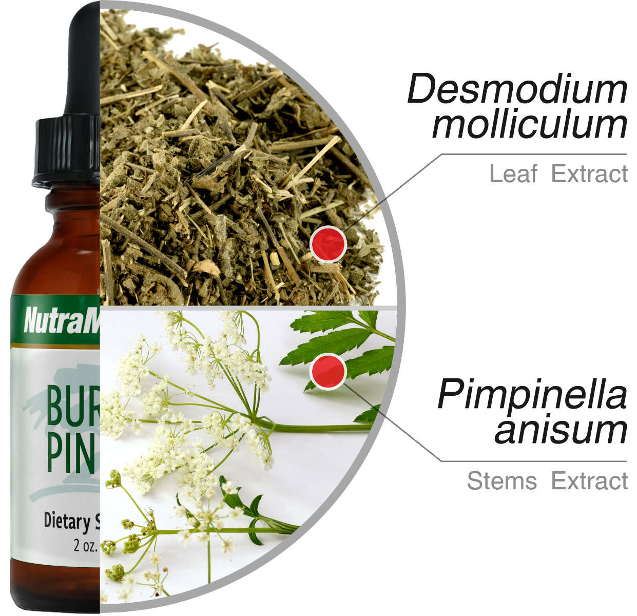 Burbur Pinella Nutramedix drops 60 ml