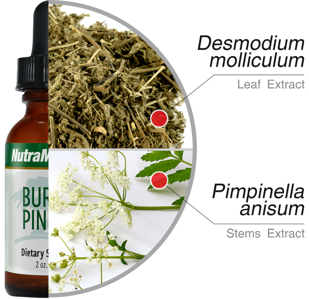 Burbur Pinella Nutramedix gotas 60 ml