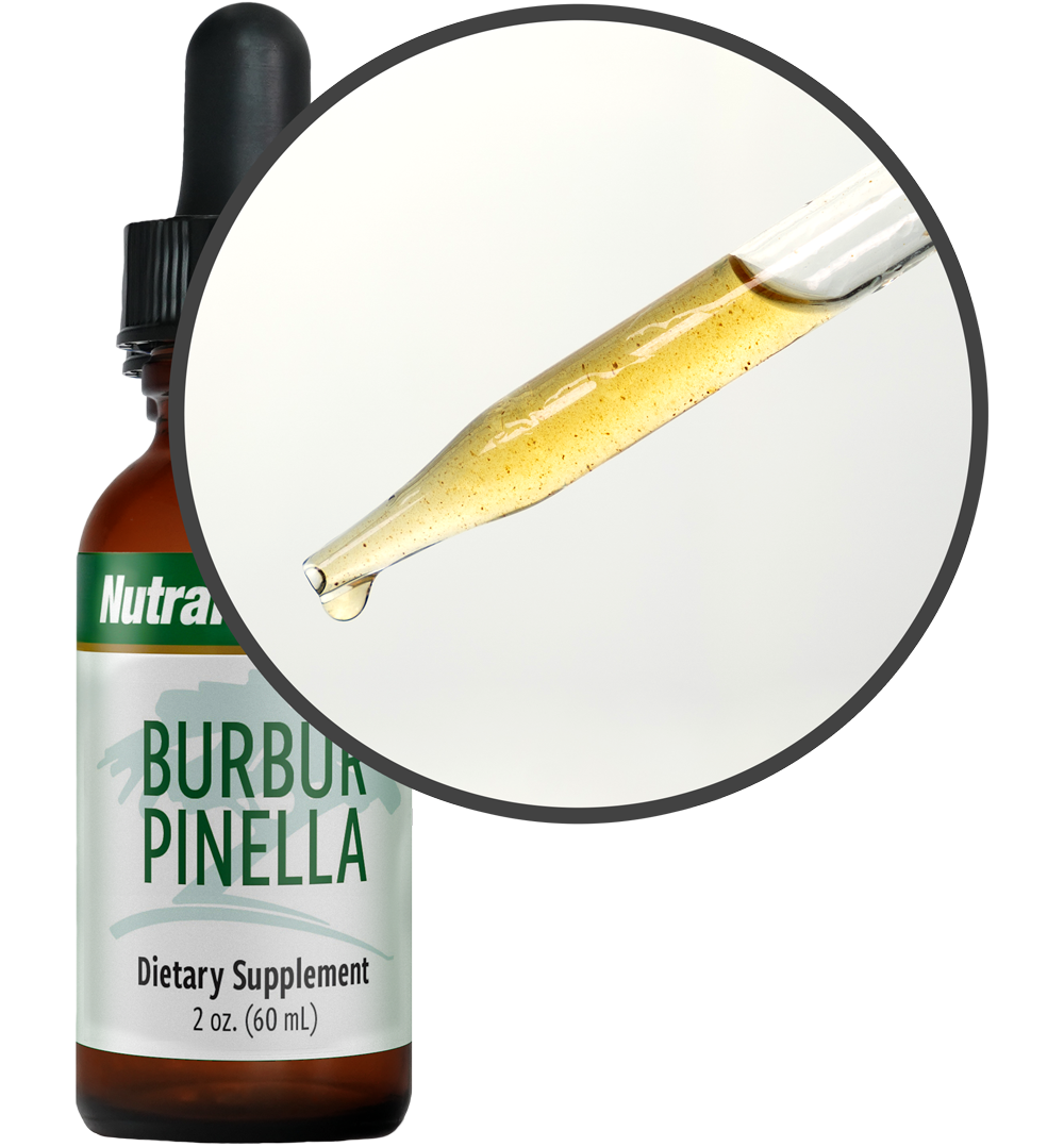 Burbur Pinella Nutramedix drops 60 ml