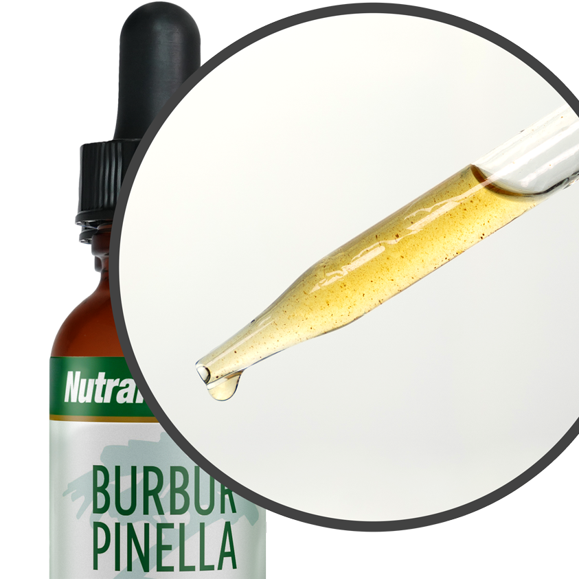 Burbur Pinella Nutramedix drops 60 ml