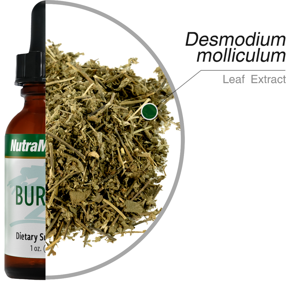 Burbur Nutramedix drops 30 ml
