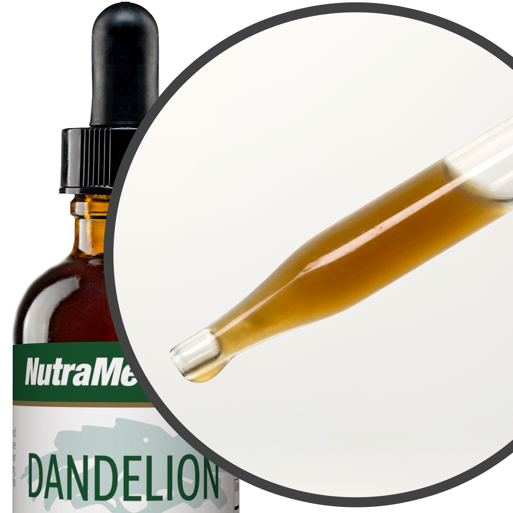 Dandelion Nutramedix Tropfen 60 ml