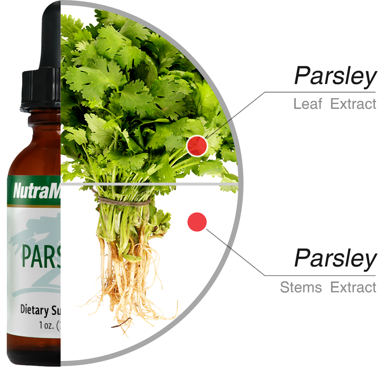 Parsley Nutramedix drops 30 ml