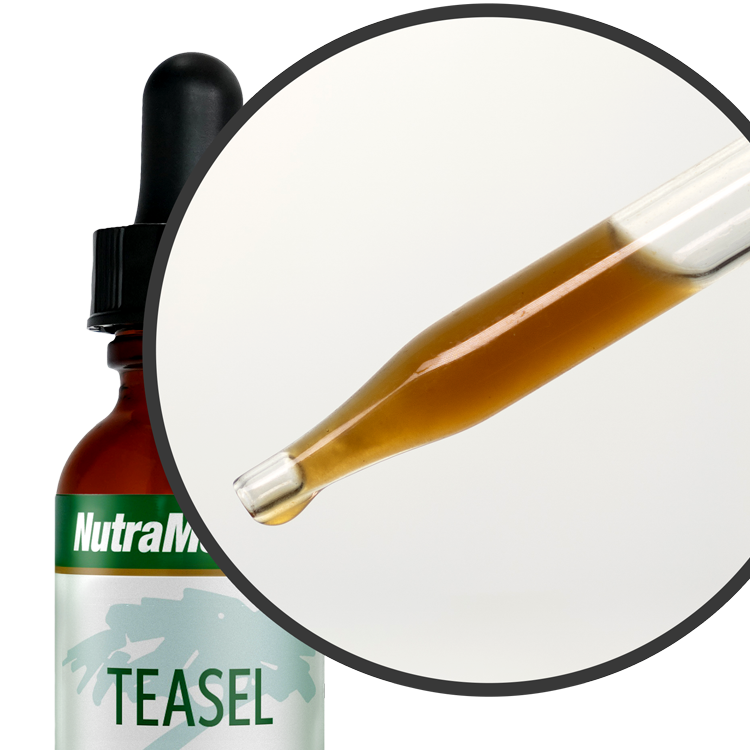 Teasel Nutramedix drops 30 ml 